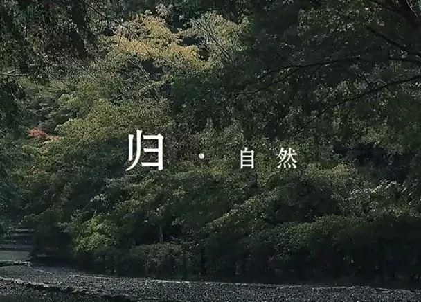 华霖让美好归自然